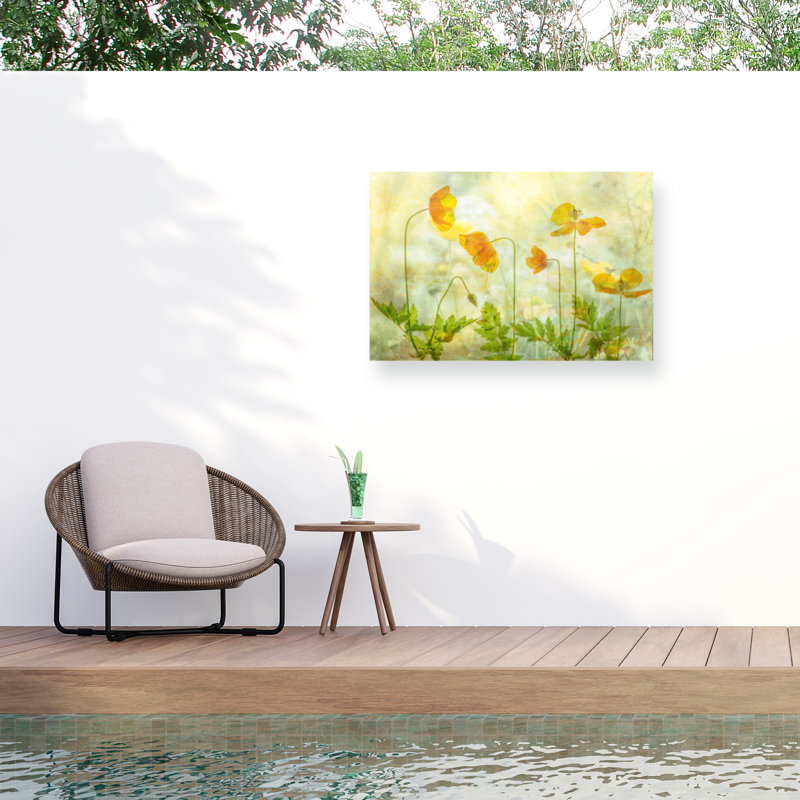 Hilda Van Der Lime A Orange Outdoor  Canvas, H 12 po x l 19 po