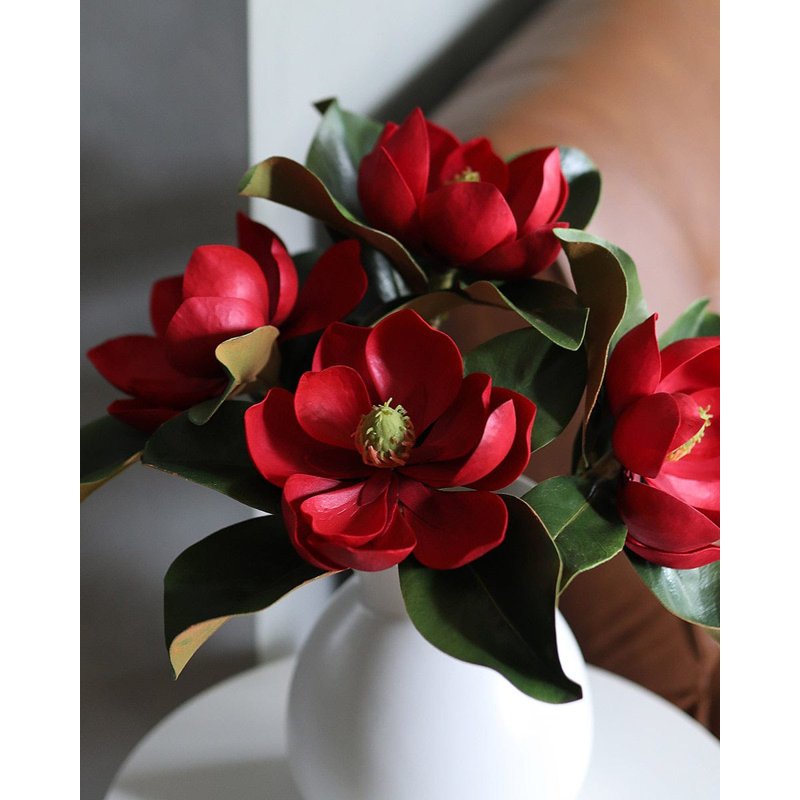 Magnolia rouge cramoisi 24 po