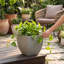 Jardinière écologique d'intérieur / extérieur Vinesha ECOBO-1203563269-1203563271-1197920228