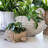 Juliska Provence Rattan Rattan Decorative Basket