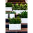 Planter Box-1439870893-1439870888