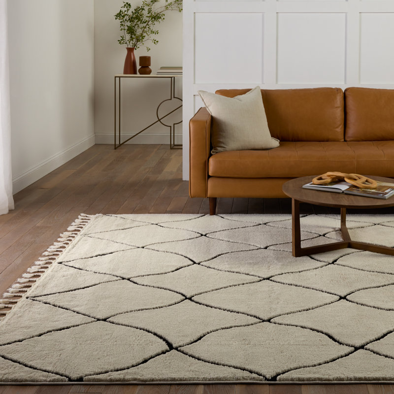 Modern Moroccan Black and Ivory 5' x 7' Braided Trellis Shag Rug