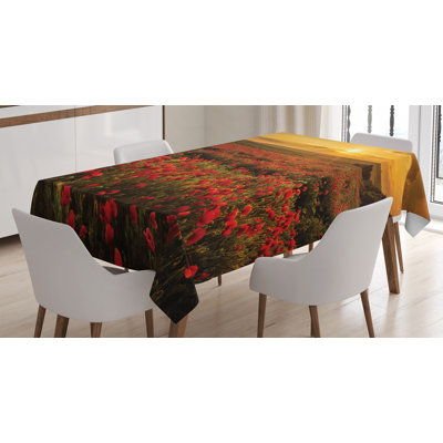 Nappe fleur ambesonne, champ de décorative chez le coucher de soleil soleil wildflower, housse de table rectangulaire pour la cuisine de salle à manger décoration, 52 po x 70 po marigold écarlate