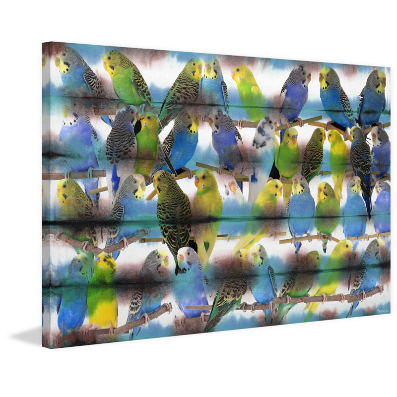 « parakeets » par parvez taj,, reproduction d’art sur toile tendue, 20 po x 30 p