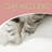 Mallett 34.2'' H Cat Tree-2064216997
