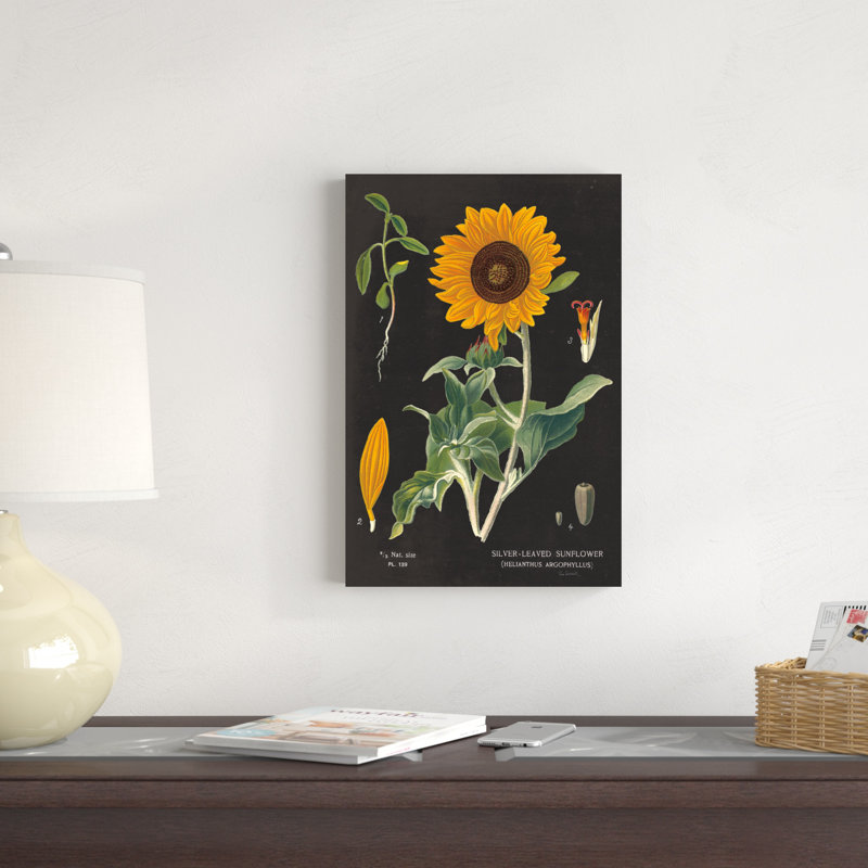 Tableau de tournesol, H 18 po x l 12 po x P 1,25 po