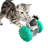 Hybrid Feeder/Toy