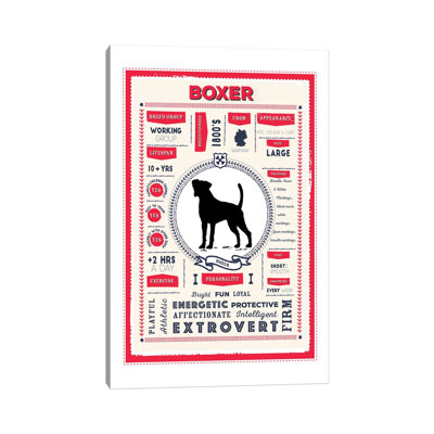 " Boxer Infographic Red " by PaperPaintPixels