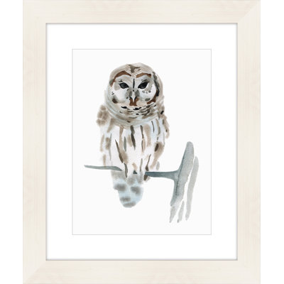 " Owl "