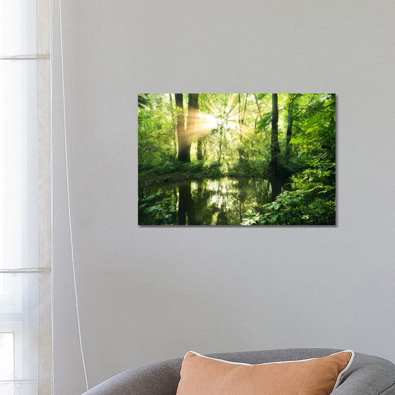 Eden Woods by Stefan Hefele - Wrapped Canvas Gallery-Wrapped Canvas Giclée, 45.72cm H x 66.04cm W