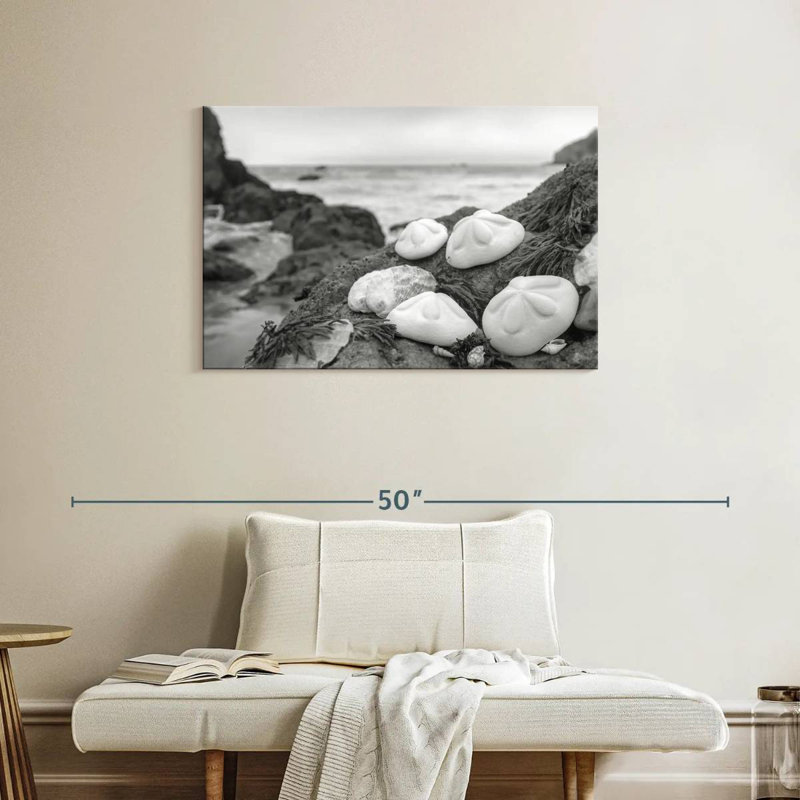 White Crescent Beach Shells IV, 24" H x 36" W