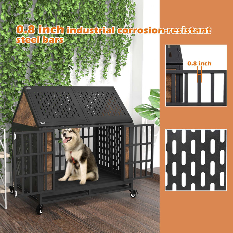 Boarding Facility Boarding Dog With Separation Anxiety Dog