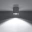 Idun Flush Mount