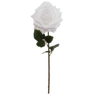 Tige de roses