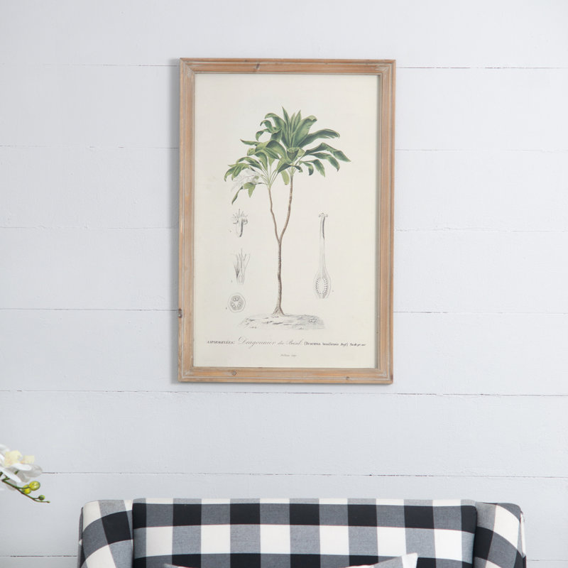 S/2 Tree Framed Print