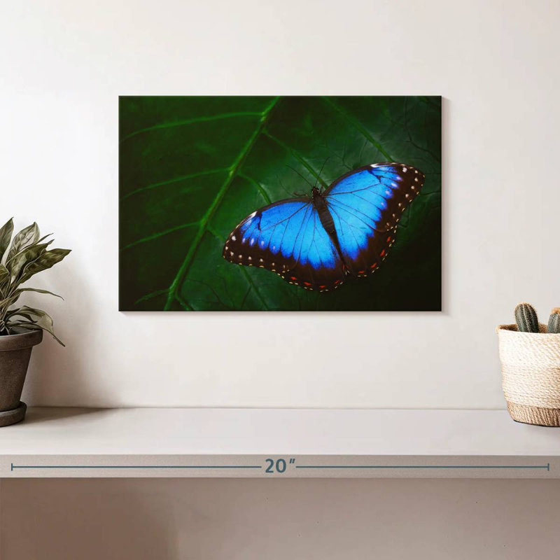 Brampt Pretty Blue Butterfly, 8" H x 12" W