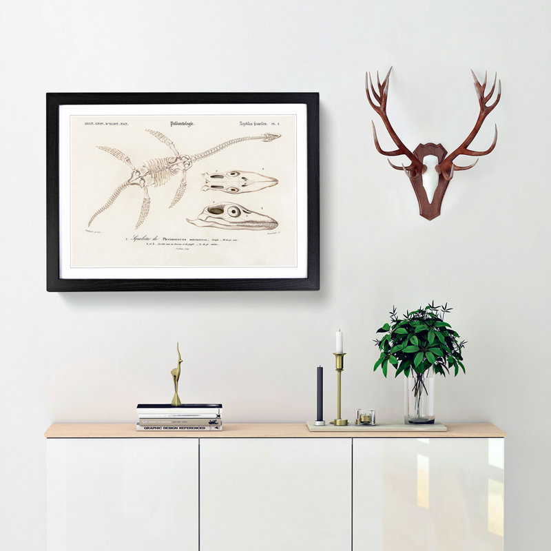 Plesiosaurus Illustration by Charles d' Orbigny - Picture Frame Painting Print, 48cm H x 65cm W x 2cm D, Black Framed