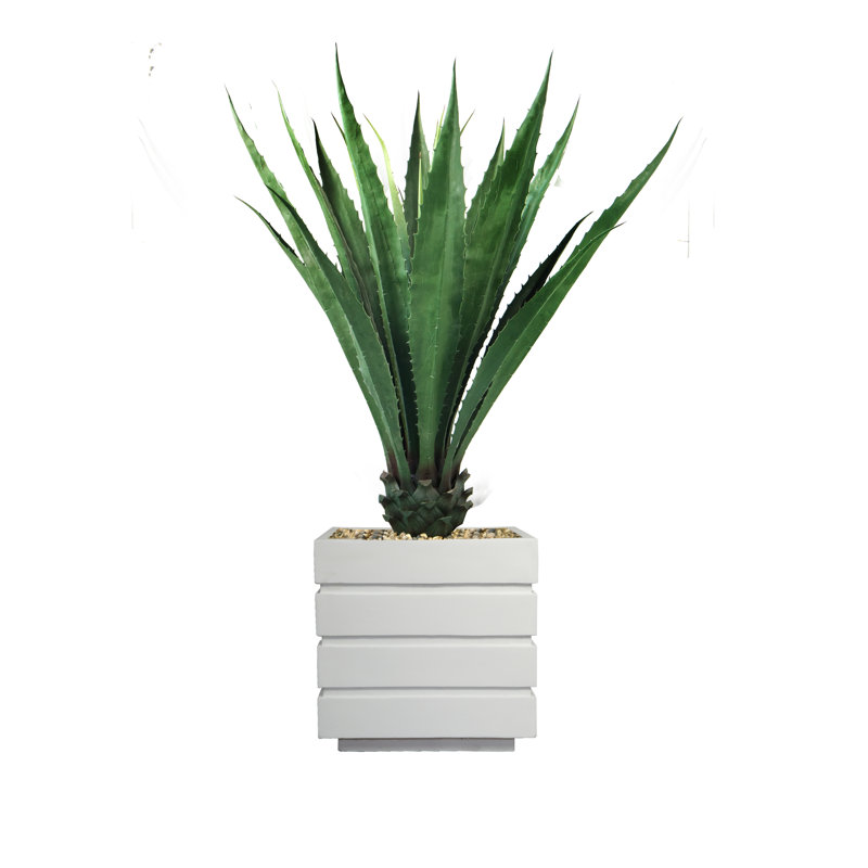 Plante succulente artificielle en pot 43 po Panama, Blanc, Vert foncé