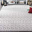 Tapis gris / ivoire en polypropylène tissé à la machine Axie-1184367855