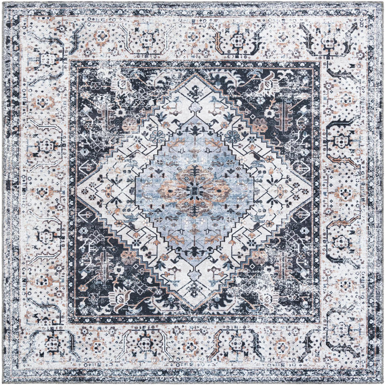 Oluremi Oriental Indoor Rug