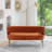 Chynna 51.2'' Velvet Flared Arm Loveseat-1768879377