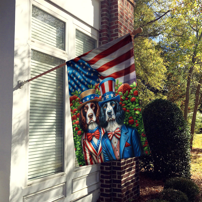 Drapeau «All American House», Épagneul Springer anglais