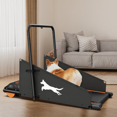 Black+orange Steel Dog Treadmill, 110v 1.5hp Pet Pacer (44.2”l×23.2”w×31.2”h) – Ideal For Small/medium Dogs, Home Use, Low Noise Motor, Led Display (time/speed/distance/step)