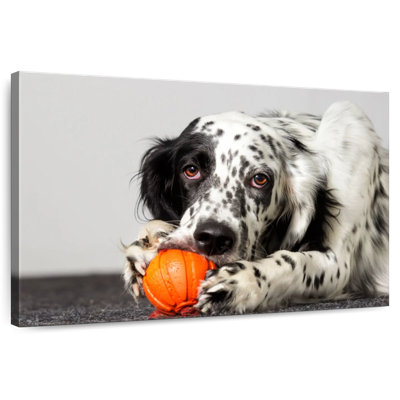 Dog With Orange Toy