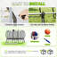 Trampoline d'extérieur de 16 pi avec filet et échelle Albott, trampolines récréatives pour enfants et adultes, cadre à connexion rapide, homologation ASTM-112012858