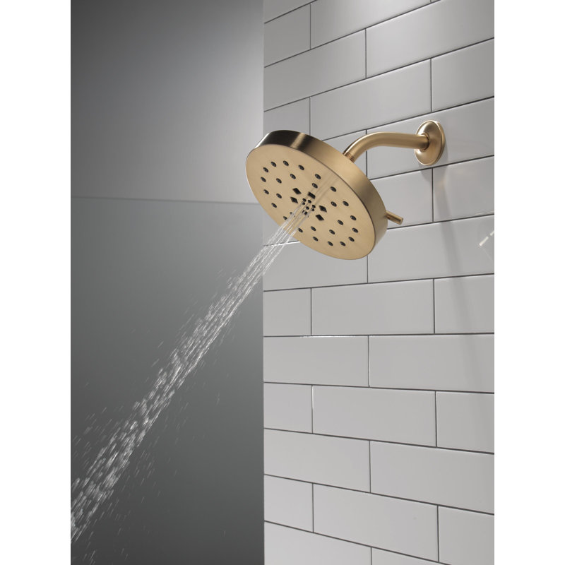 Multi Function Adjustable Shower Head, Lumicoat Champagne Bronze