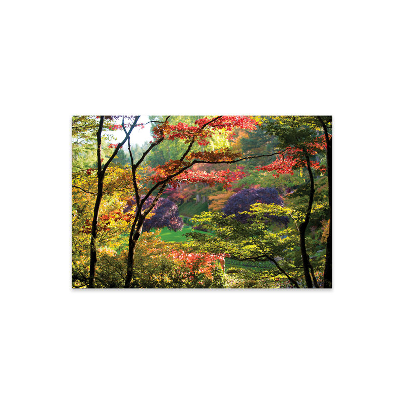 Arbres dans un jardin, Butchart Gardens, Victoria, île de Vancouver, Colombie-Britannique, Canada - aucune impression de cadre