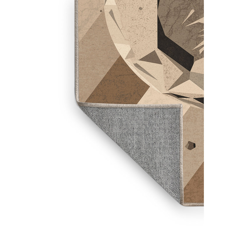 Tapis brun rustique lavable à la machine Pavle, 2 x 5