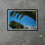 Palm Sunday Print by Tim Klein