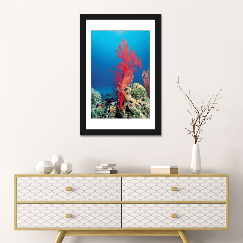 Marine et océan, corail rouge, estampe numérique sur toile tendue, H 32 po x l 24 po x P 1 po, Papier d'art encadré noir