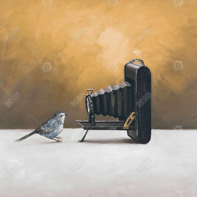 "Vieil appareil photo avec oiseau"