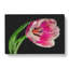 Pink Tulip - Wrapped Canvas-56629332