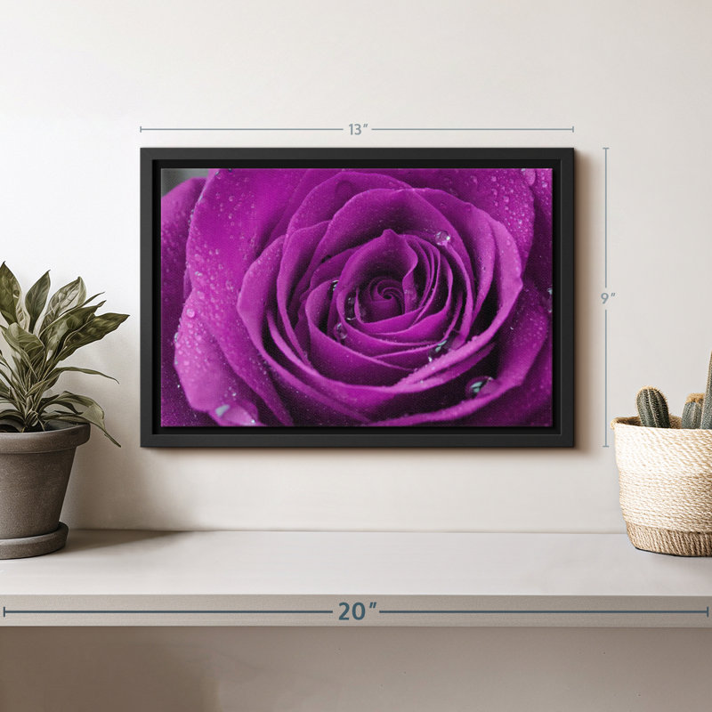 Droplets On Purple Rose Canvas Print, 9" H x 13" W