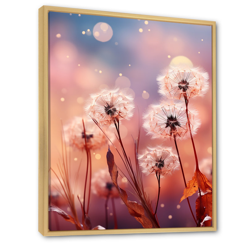 «Delicate Calm Dandelion Serenity IV - Autre plante et fleurs», art mural, Cadre flottant brun, H 44 po x l 34 po