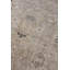 Heirloom Wool Abstract Area Rug in Khaki-40095800
