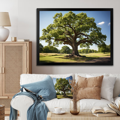 " Trees Oak Majestic Oak II "