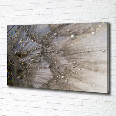 Dandelion Seeds - Wrapped Canvas Print