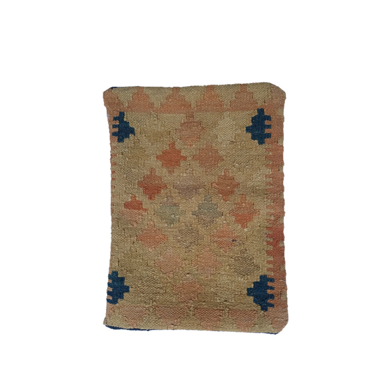 Chou Indoor / Outdoor Geometric Rectangular Cushion Cover