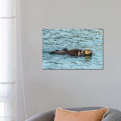 Usa, California, San Luis Obispo County. Sea Otter Mom And Pup. by Jaynes Gallery - Wrapped Canvas Print