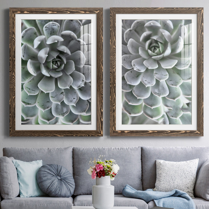 Zen Succulent III - ensemble de 2 reproductions de photos encadrées, H 44 po x l 31 po x P 1 po, Papier, cadre noyer, Blanc