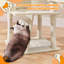 Arbre à chat Gilmour-1874089113