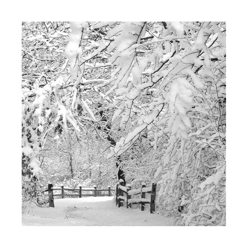 Art mural sur toile tendue - Incredi «Winter Wonderland White» pour décoration de salon, de chambre à coucher ou de bureau - 24 x 24