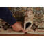 Tapis de couloir géométrique en laine 3x8