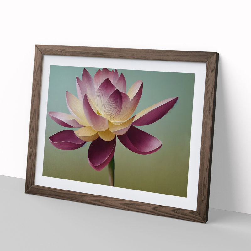 Shining Lotus Flower - Framed Print, 25cm H x 34cm W x 2cm D, Walnut