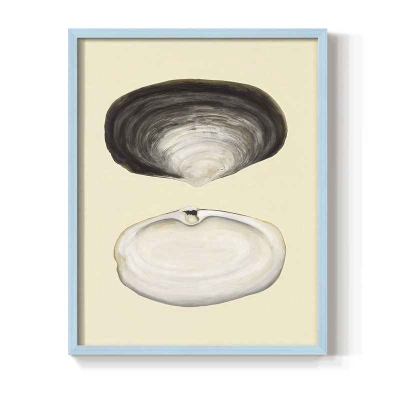 Reproduction encadrée de coquilles bivalves II - bois massif, H 30 po x l 24 po, Bleu