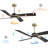 Kyliegh 4-Blade DC Motor Ceiling Fan with LED Light and Remote-401567375-401567372-370422942